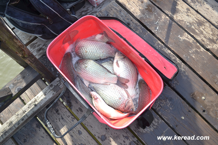 釣魚戰(zhàn)果